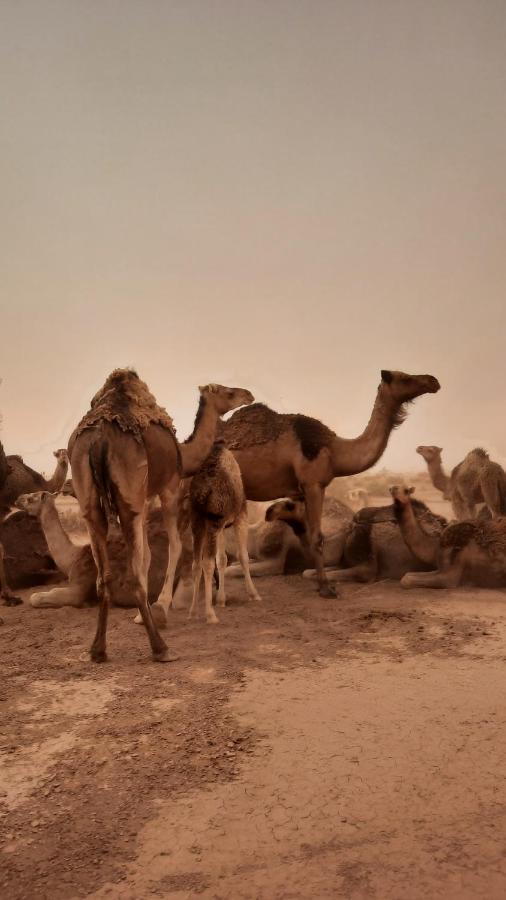 ホテル Dar Ilyana Ait Tiourhza エクステリア 写真